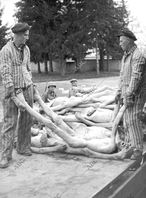 Unos prisioneros trasladan cadáveres de muertos en el campo de concentración de Dachau en abril de 1945